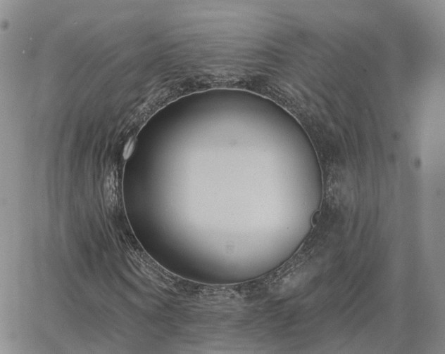 X0000063490866200601231409