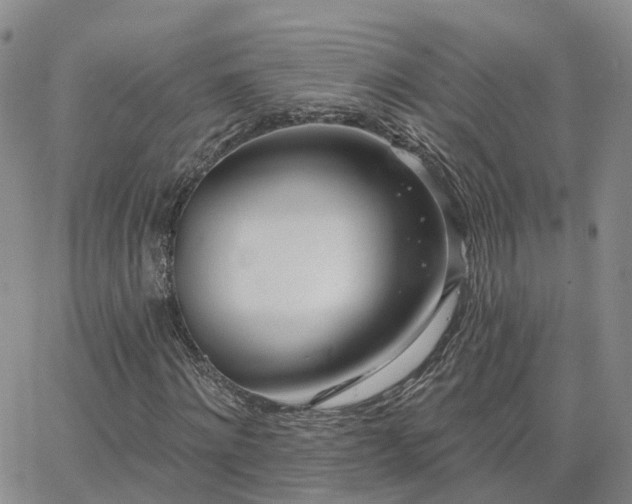 X0000063490868200601231409