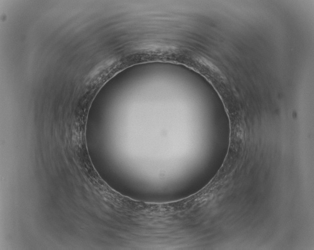 X0000063490869200601231409
