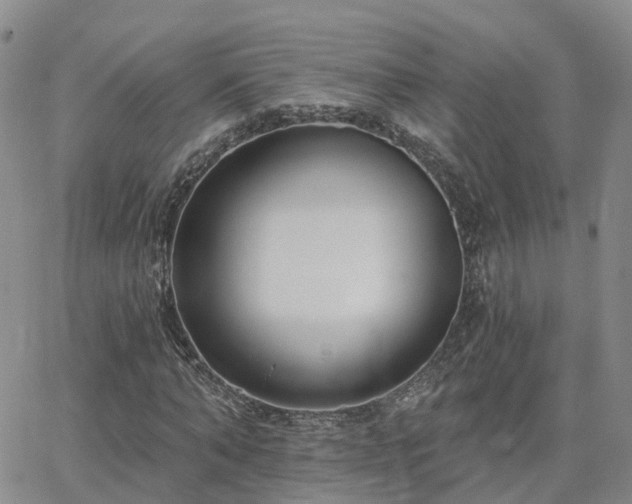 X0000063490870200601231409