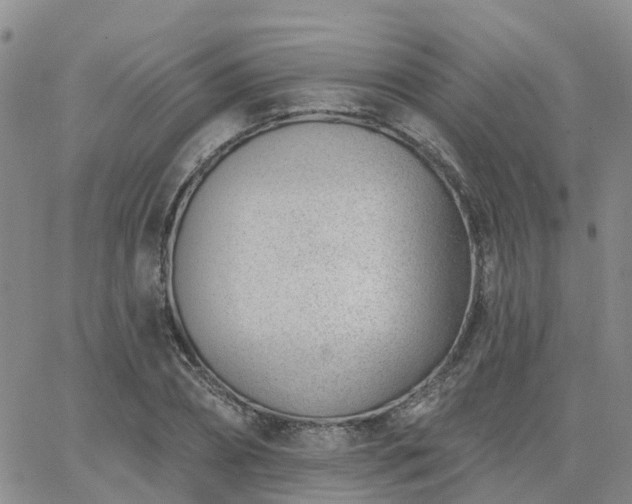 X0000063490882200601231409