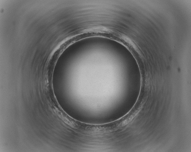 X0000063490923200601231408