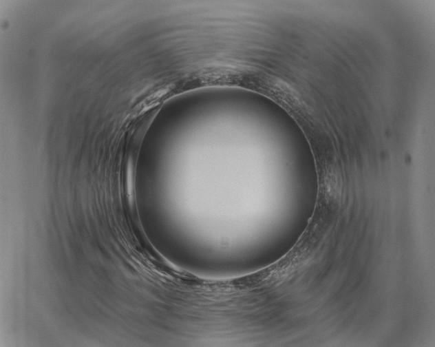 X0000063490964200601231408