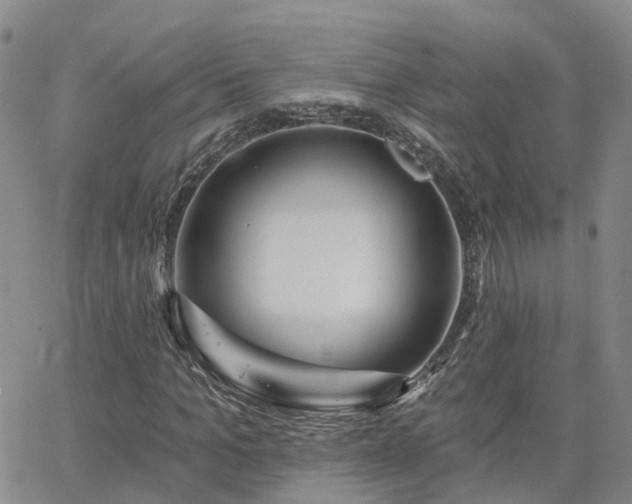 X0000063490965200601231408
