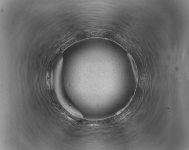 X0000063491010200601231406