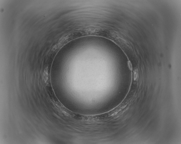 X0000063491011200601231406