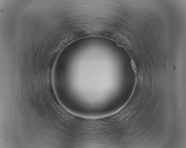 X0000063491012200601231406