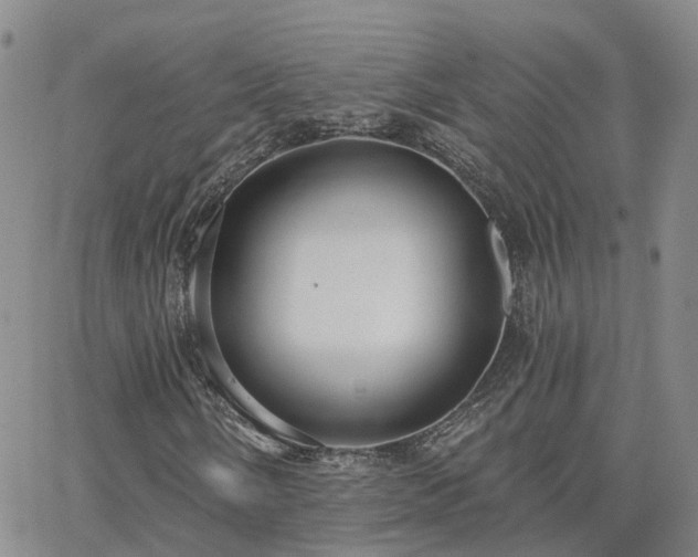 X0000063491058200601231406