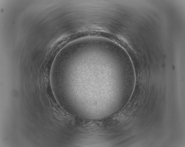 X0000063491063200601231406