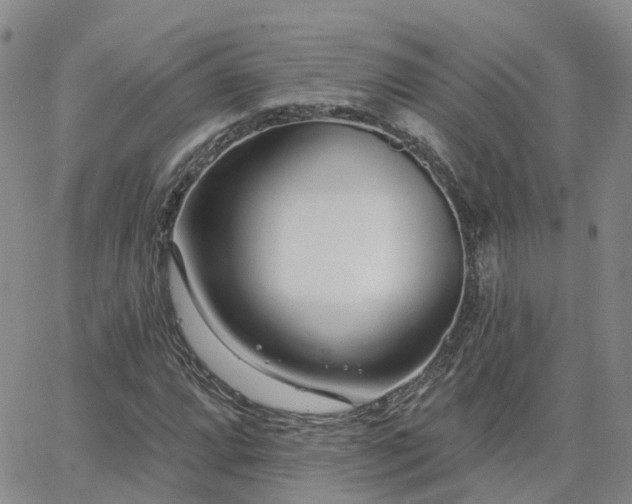 X0000063491064200601231406