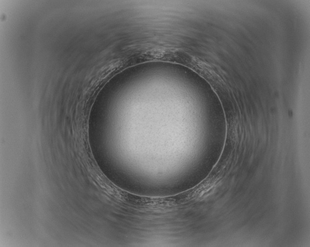 X0000063491105200601231405