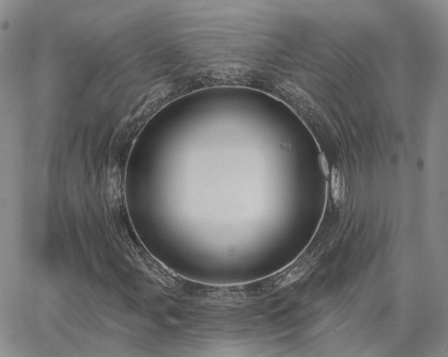 X0000063491107200601231405