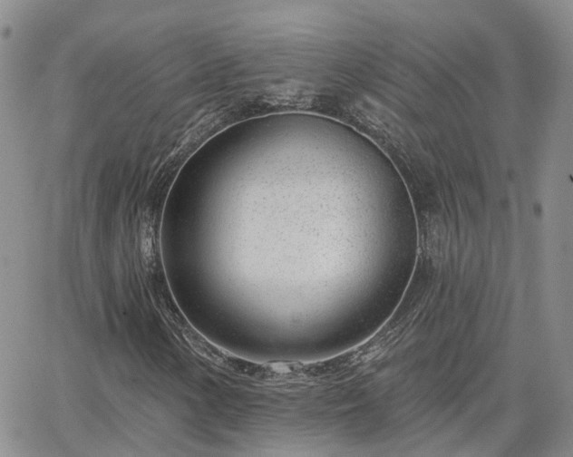 X0000063491154200601231405