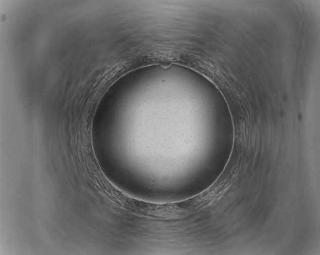 X0000063491201200601231403