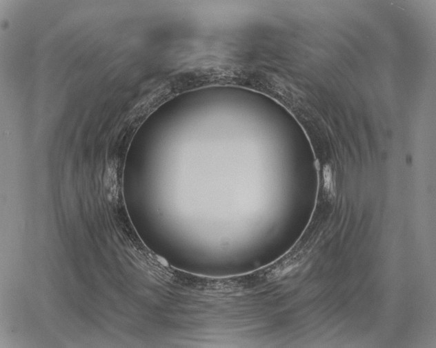 X0000063491203200601231403