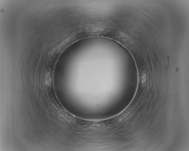 X0000063491204200601231403