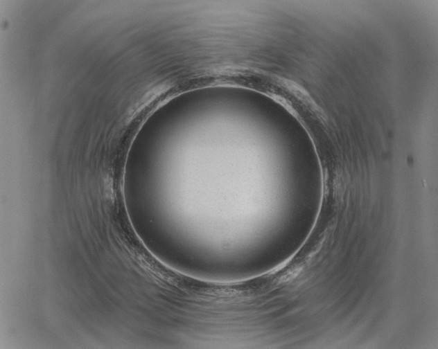 X0000063491209200601231403