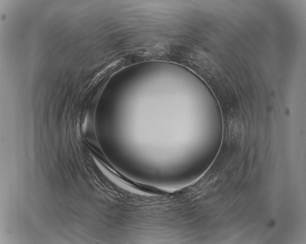 X0000063491250200601231403
