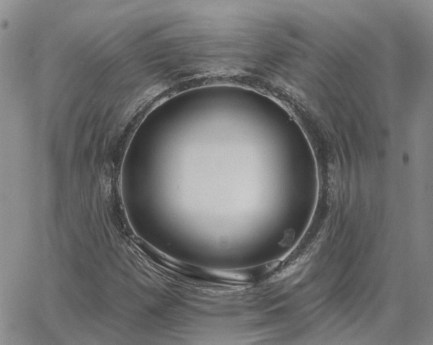 X0000063491257200601231403