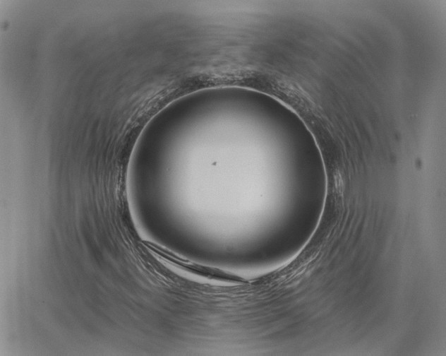 X0000063491300200601231402