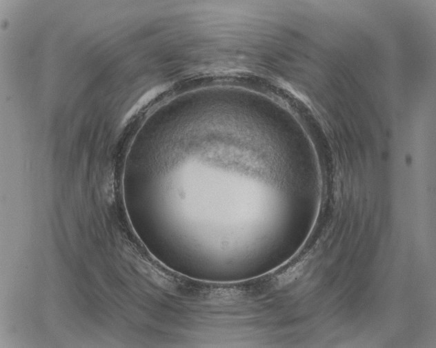 X0000063491306200601231402