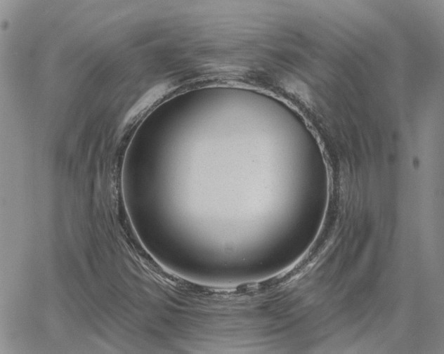 X0000063491354200601231401