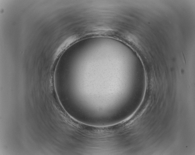 X0000063491362200601231401