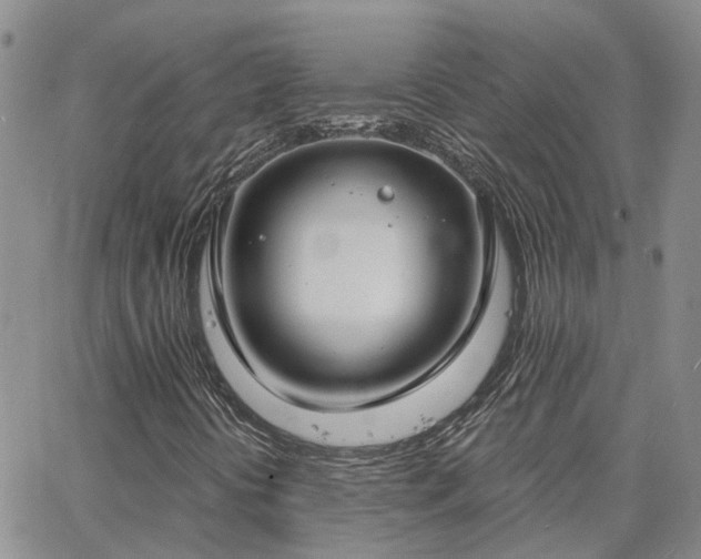 X0000063491394200601231400