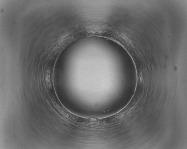 X0000063491396200601231400