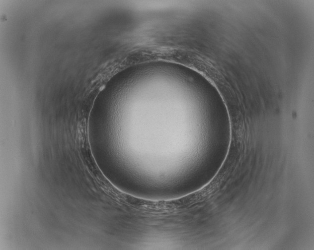 X0000063491397200601231400