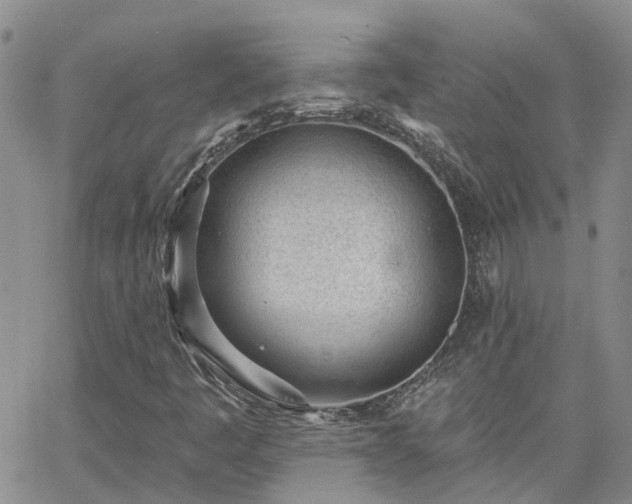 X0000063491445200601231400