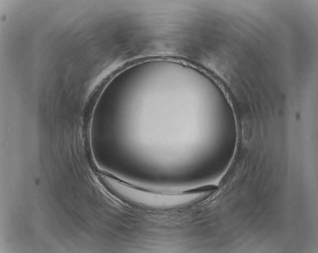 X0000063491452200601231400