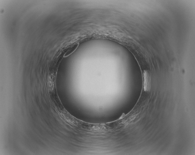 X0000063491491200601231359