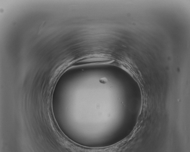 X0000063490001200601271732