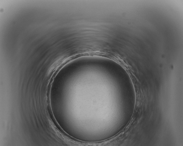 X0000063490002200601271732