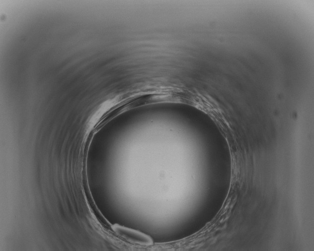 X0000063490003200601271731