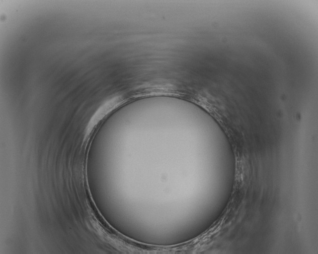 X0000063490004200601271731