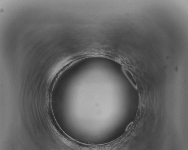 X0000063490005200601271731