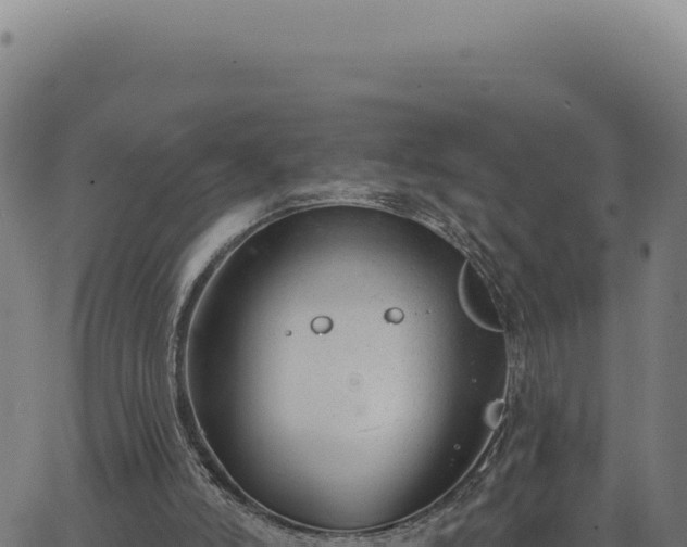 X0000063490006200601271731