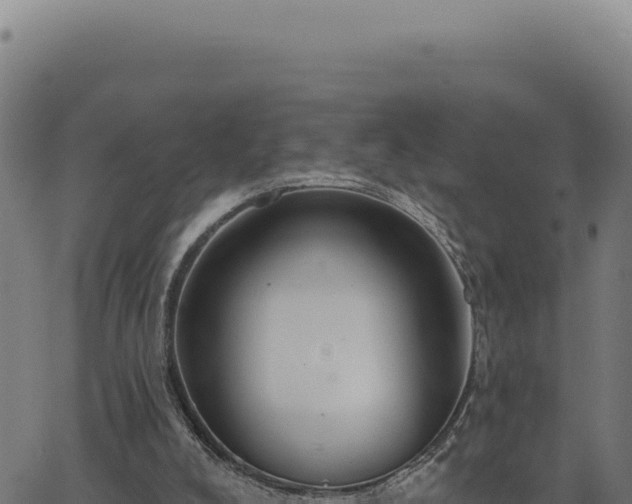 X0000063490008200601271731