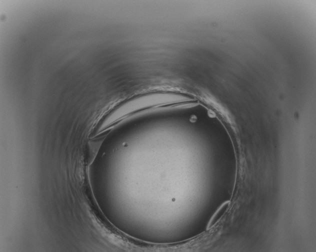 X0000063490009200601271731