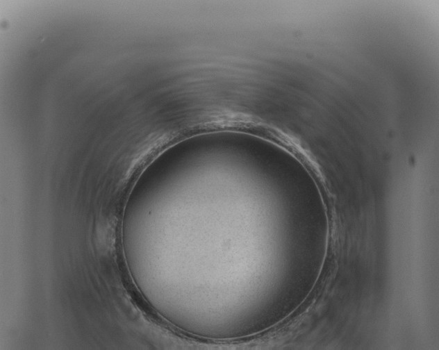 X0000063490010200601271731