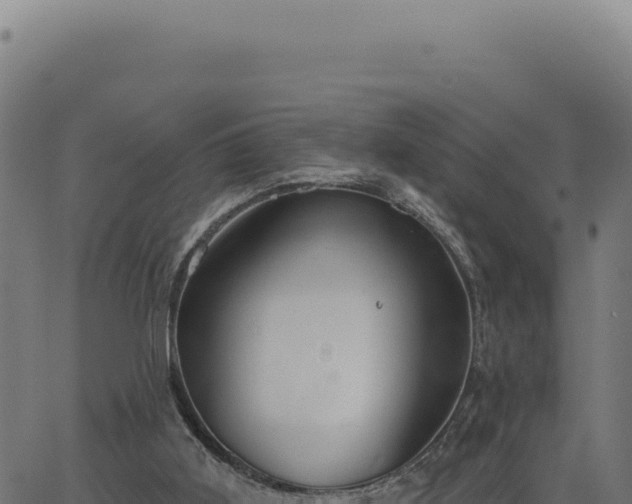 X0000063490011200601271731