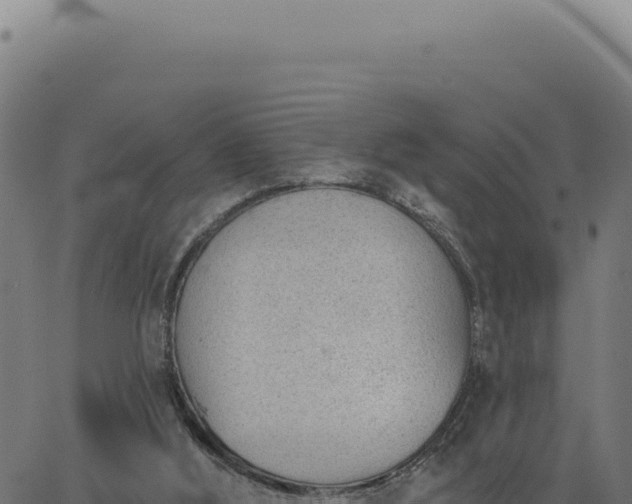 X0000063490012200601271731