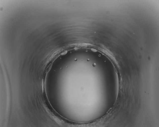 X0000063490013200601271731