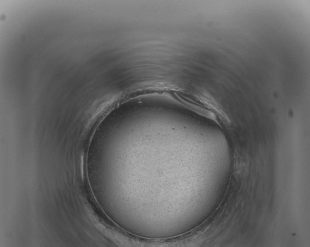 X0000063490014200601271731