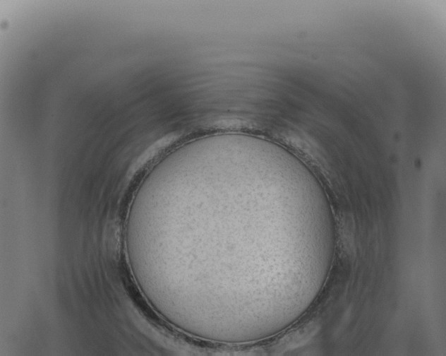 X0000063490016200601271731