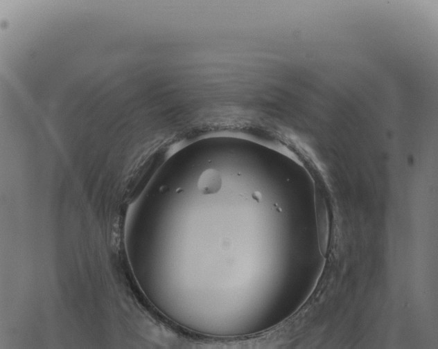 X0000063490017200601271731