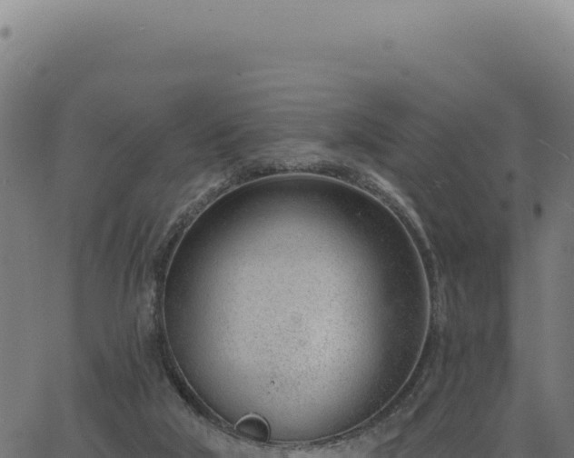 X0000063490018200601271731