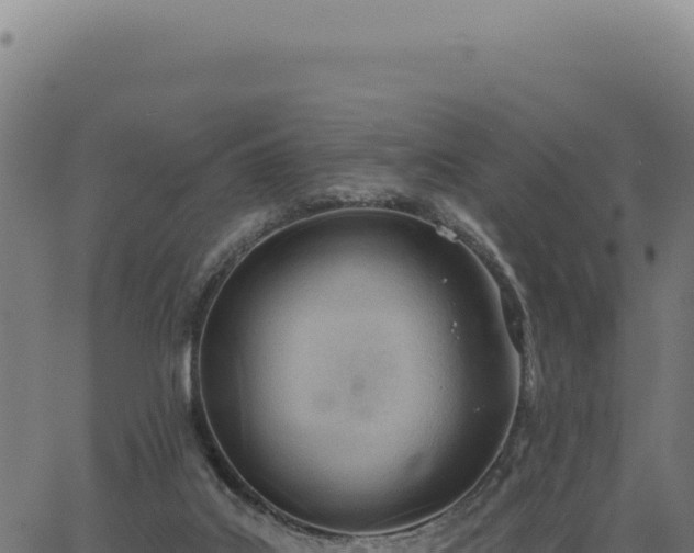 X0000063490019200601271731